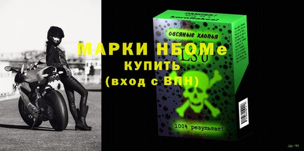 индика Нягань