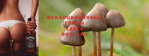 стаф Армянск